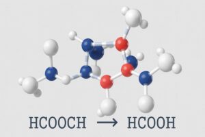 HCOOCH CH2 H2O Explained: Structure, Reaction, Uses, and Importance in Chemistry