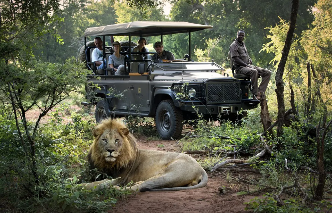 Why Southern Africa's Safari Destination Rewards Every Traveller